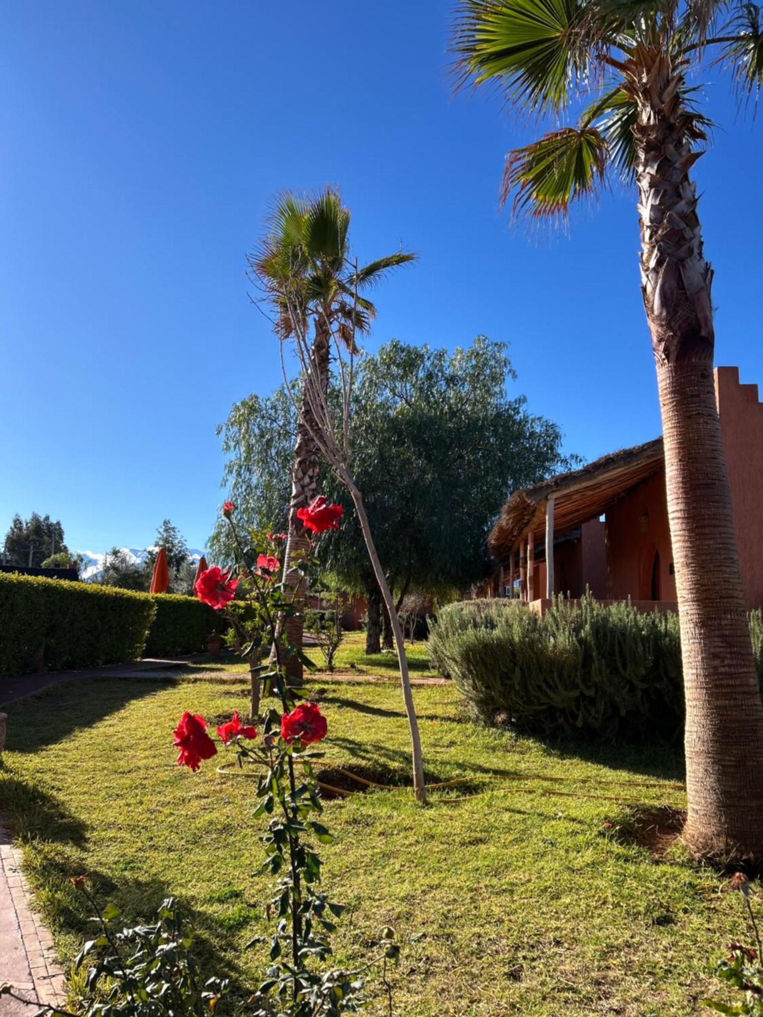 Les Orangers De L'Ourika Hotel Douar Akkara ภายนอก รูปภาพ
