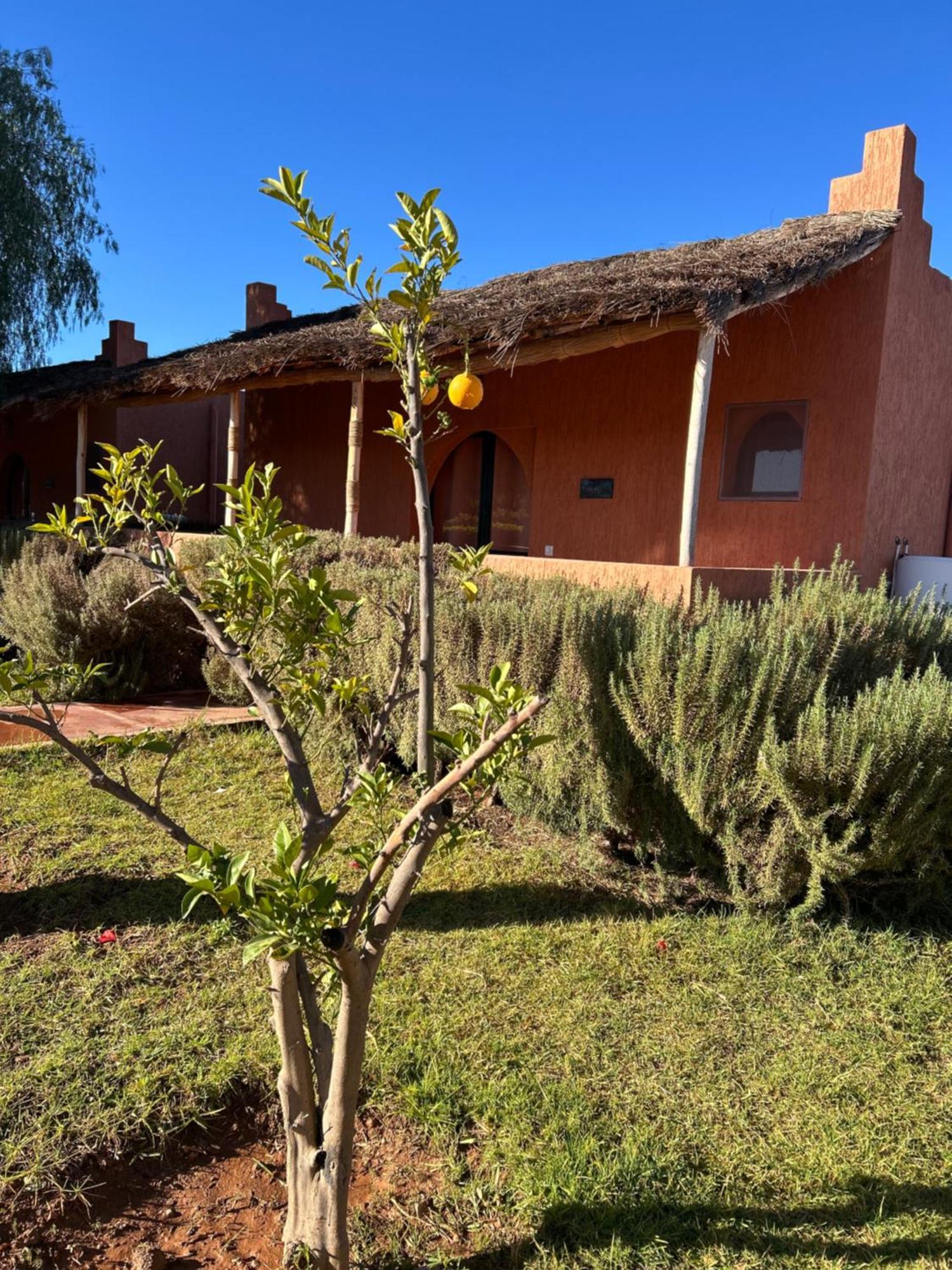 Les Orangers De L'Ourika Hotel Douar Akkara ภายนอก รูปภาพ
