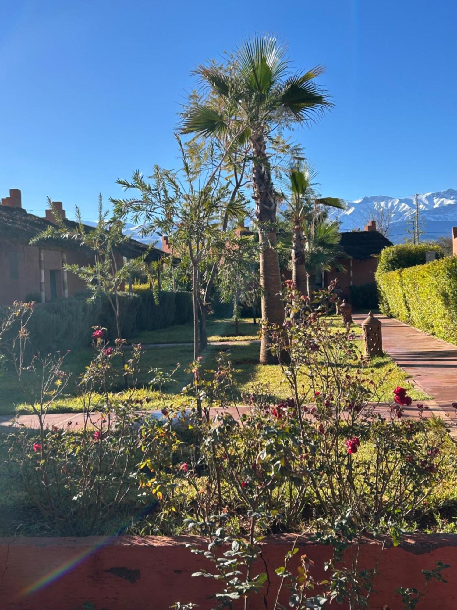 Les Orangers De L'Ourika Hotel Douar Akkara ภายนอก รูปภาพ